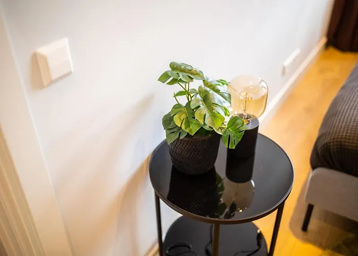 Alphabet - Villapark 2 Roterdão